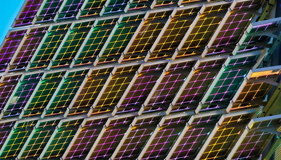 التوزيع الإقليمي والمناظر الطبيعية التنافسية